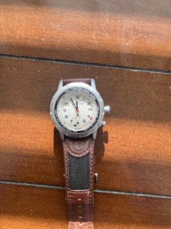 391 Timex Expedition Quartz